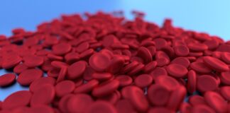 Czy hemoglobina to żelazo?