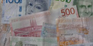 Ile koron czeskich na 1 dzień? Ile koron czeskich na 1 dzień?