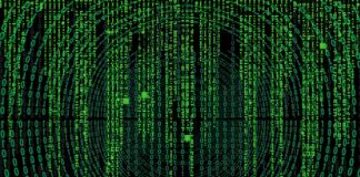 Jakie są nazwy skorupiaków? Jakie są nazwy skorupiaków?