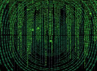 Jakie są nazwy skorupiaków?