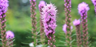 Ile kosztuje wycięcie tłumika? Ile kosztuje wycięcie tłumika?