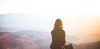 Ile idą bluzy z Mosquito? Ile idą bluzy z Mosquito?