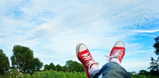 Kto ma trzy pary odnóży krocznych? Kto ma trzy pary odnóży krocznych?