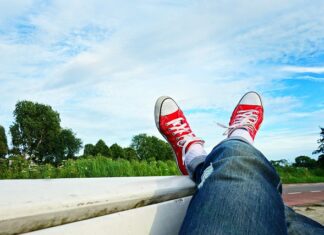 Kto ma trzy pary odnóży krocznych?