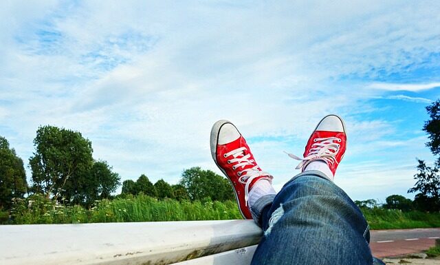 Kto ma trzy pary odnóży krocznych?