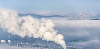 Po co dwutlenek węgla w akwarium?