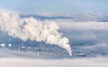 Po co dwutlenek węgla w akwarium?