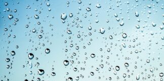 Czy można wędzić mokrym drewnem?