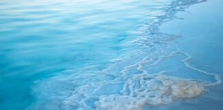 Jak obliczyć zasolenie? Jak obliczyć zasolenie?