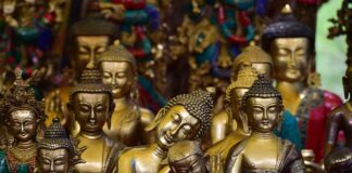 Co jest lepsze alpaka czy kaszmir? Co jest lepsze alpaka czy kaszmir?