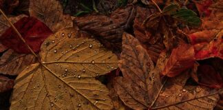 Ile żyłki na szpuli?