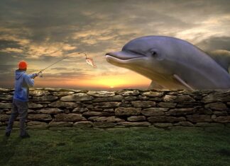 Jak żyłka na grunt?