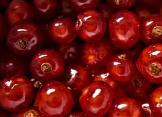 Co jeść by dobrze spać?