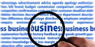 Gdzie zgłosić psa zamkniętego w samochodzie?