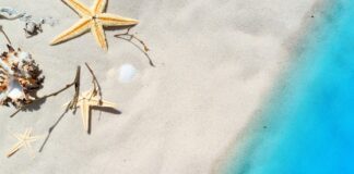 Jaki smak mają małże? Jaki smak mają małże?