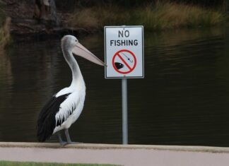 Jak zrobić zestaw do łowienia z gruntu?