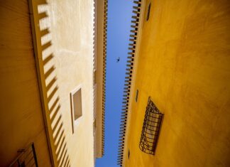 Czy mule to to samo co małże?