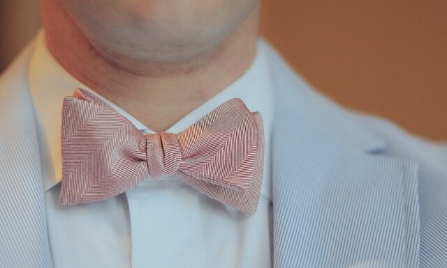 Skąd się biorą muszki w domu? Skąd się biorą muszki w domu?