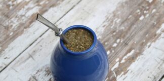 Czym się rożni Yerba mate od matcha?