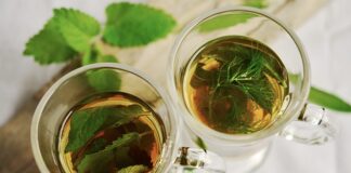 Jakie zioła się nie lubią?