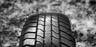 Jak transportować psa bez transportera?