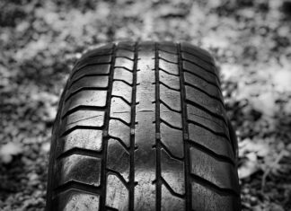 Jak transportować psa bez transportera? Jak transportować psa bez transportera?