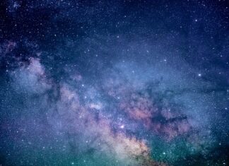 Czy niebieskie światło szkodzi rybom?