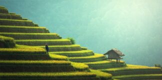 Co na taras aby nie przeciekał?