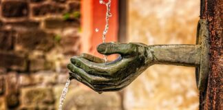 Jakie są dwie funkcje które pełni muszla u mięczaków? Jakie są dwie funkcje które pełni muszla u mięczaków?