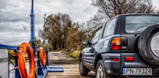 W czym przewozić psa?