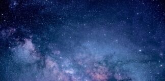 Do czego niebieskie mokasyny?