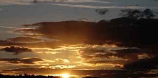 Jakie marki znikają z Polski?