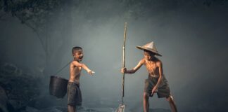 Czy sól szkodzi rybom w akwarium? Czy sól szkodzi rybom w akwarium?