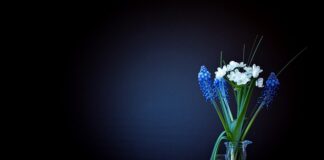 Ile waży miechunka? Ile waży miechunka?