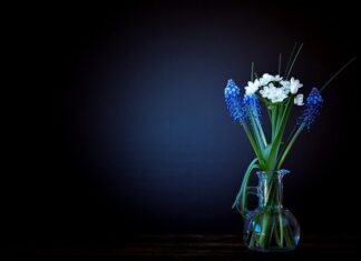 Ile waży miechunka?