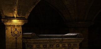 Co ile zmieniać żyłkę w Wędce?