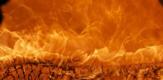 Czy Tommy Hilfiger to marka premium? Czy Tommy Hilfiger to marka premium?