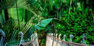 Ile trwa kurs piercingu?