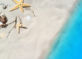 Czy małże je się żywe?