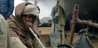 Czy szisza jest legalna w Polsce? Czy szisza jest legalna w Polsce?