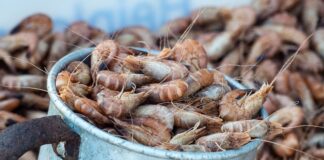 Co w badaniu krwi świadczy o nowotworze?