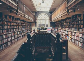 Jak rozwijać inteligencję psa? Jak rozwijać inteligencję psa?