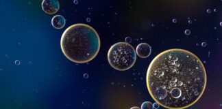 W jakiej wodzie nawijać żyłkę?