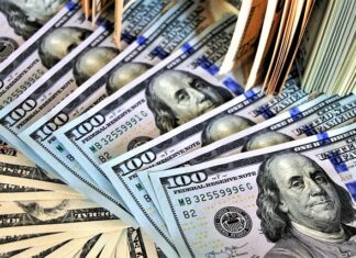 Co jest charakterystyczną cechą dla stawonogów i mięczaków?