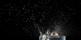 Czy na wesele można iść w mokasynach?