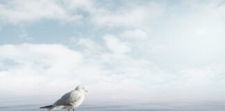 Co zrobić żeby uspokoić jelita?