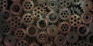 Po czym rozpoznać zepsute mięso?