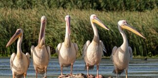 Na czym polega ekoturystyka? Na czym polega ekoturystyka?