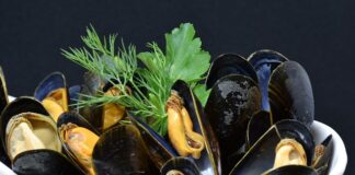 Gdzie żyje większość skorupiaków? Gdzie żyje większość skorupiaków?