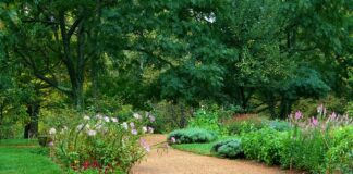 Ile kg żwirku do akwarium? Ile kg żwirku do akwarium?